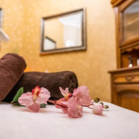 Solar Palace & Wellness فندق 4*