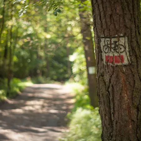 Solar Palace & Wellness Hotel Mrągowo