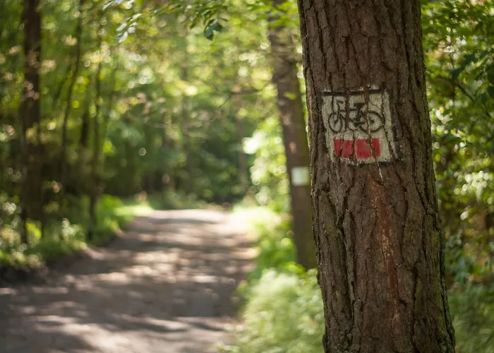 Solar Palace & Wellness Hotel Mrągowo